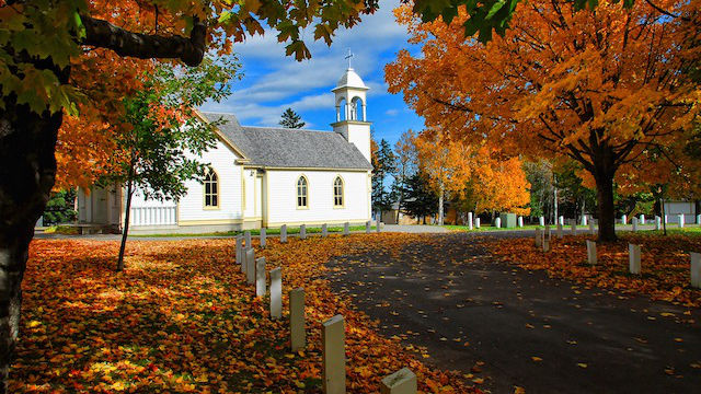 die Kirche, Jesus kommt 2020, Große Drangsal, Prophezeiungen, Bibel lesen, 