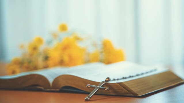 Das Bild stammt aus „Die Bibel studieren“