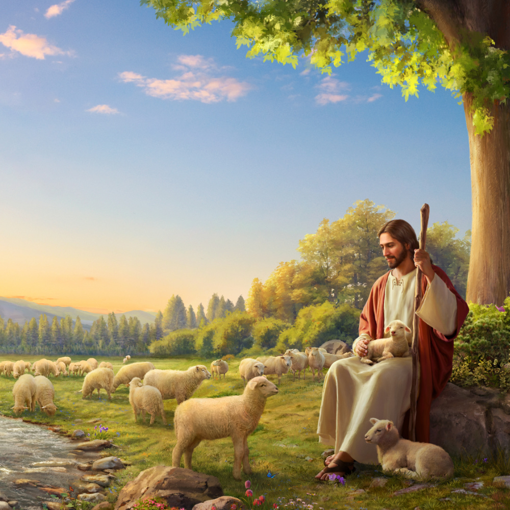 Erloesung, bibelstudium, gottes name, bibel lesen, Taegliche Bibellese, 